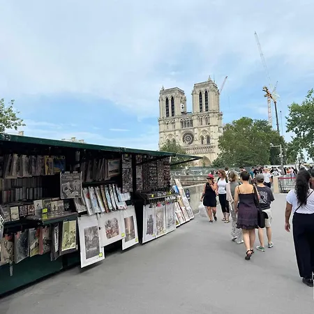 Saint Germain By Melvane