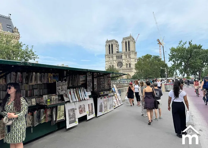 Saint Germain By Melvane